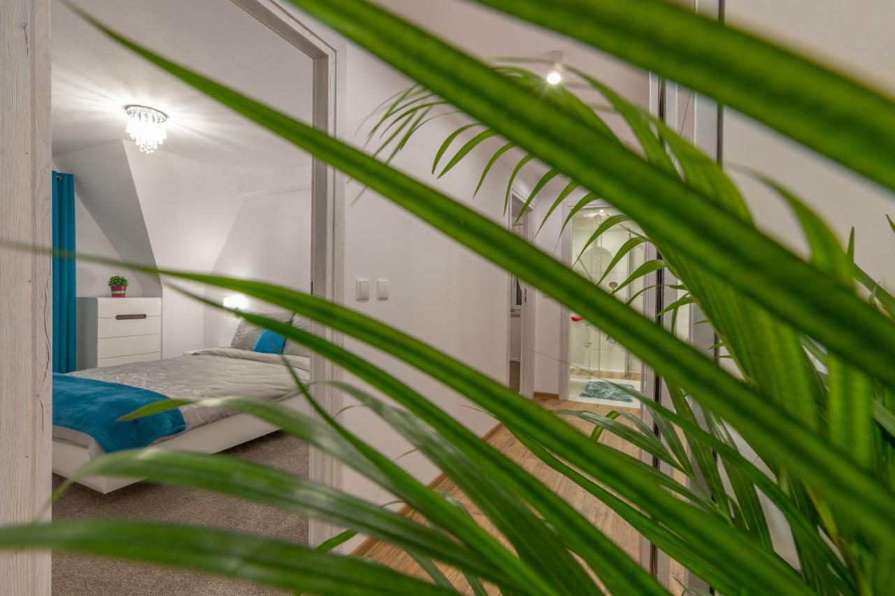 Apartament Podwika Zakopane Ngoại thất bức ảnh